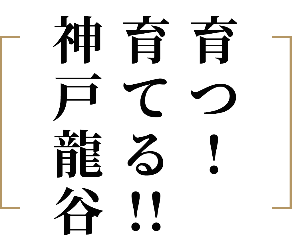 育つ！育てる！神戸龍谷