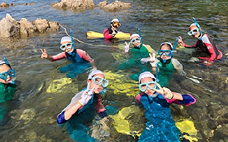 竹野海岸臨海実習