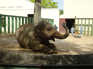 王子公園　ズゼ