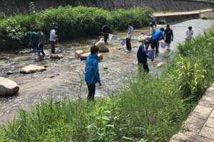 住吉川の生態・水質調査