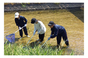高2年特進グローバル理系コース住吉川の水質調査