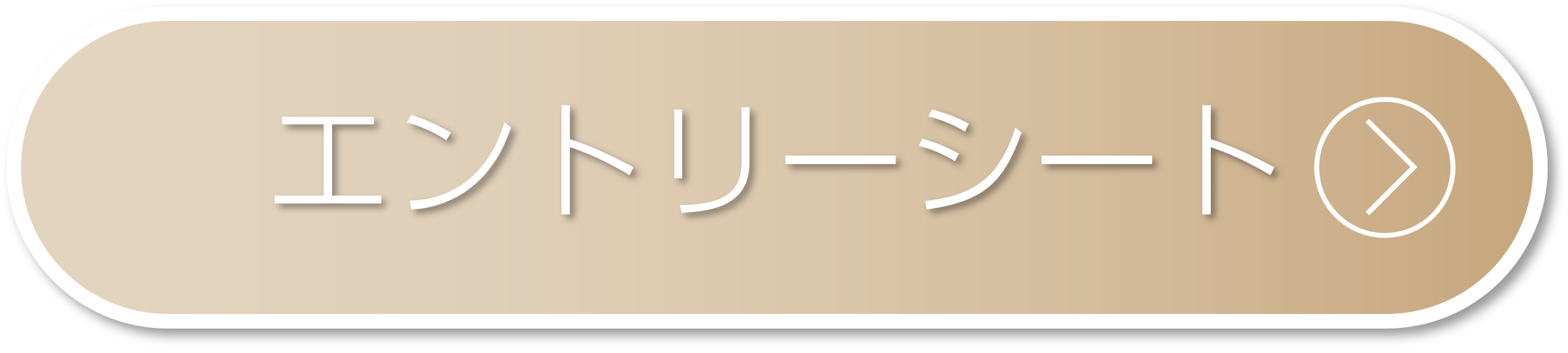 エントリーシート