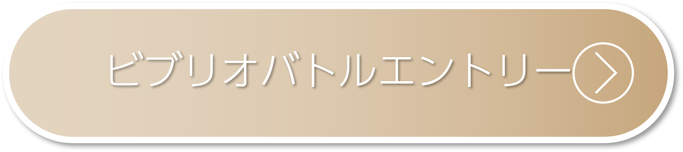 ビブリオバトル一般エントリー