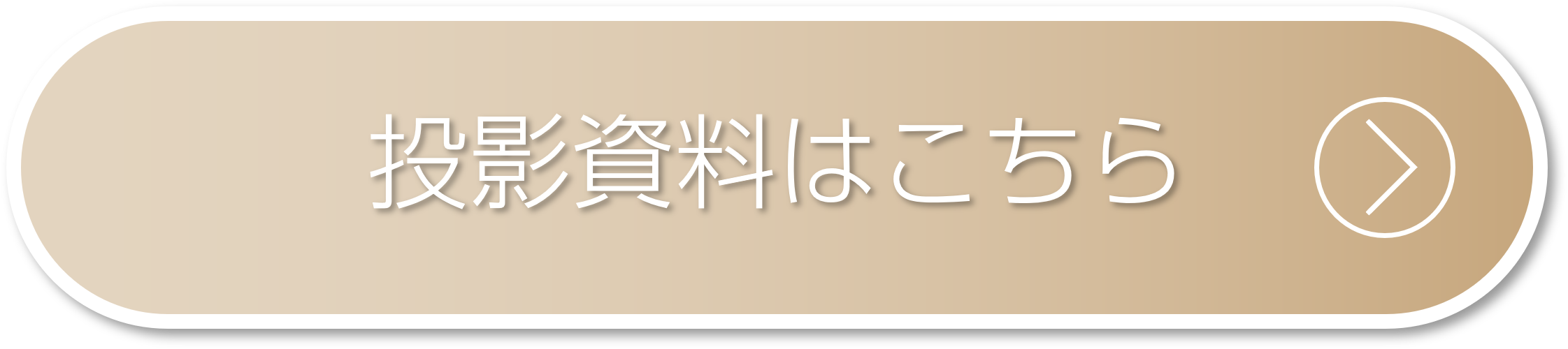 投影資料はこちら